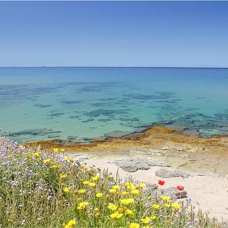 1 Bedroom Gorgeous In Punta Su Turrione * Punta de su Torrione